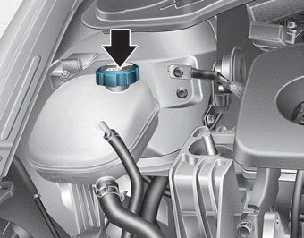 Hyundai Elantra: Checking the Engine Coolant Level - Engine Coolant