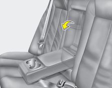 To use the armrest, pull it forward from the seatback.