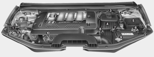 Gasoline Engine (2.0L)