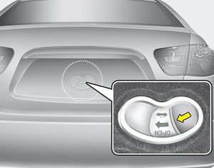 Your vehicle is equipped with an emergency trunk release cable located inside