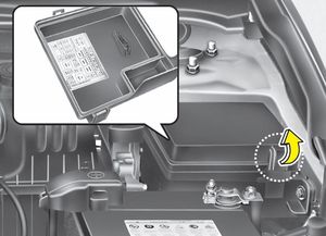 Engine compartment