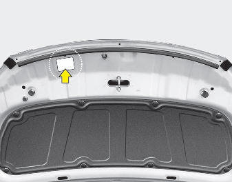 The refrigerant label is located on the underside of the hood.