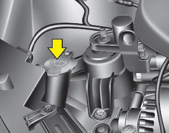 Checking the washer fluid level